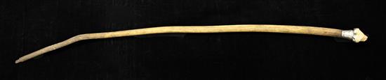 An Edwardian walking cane, overall 35.5in.